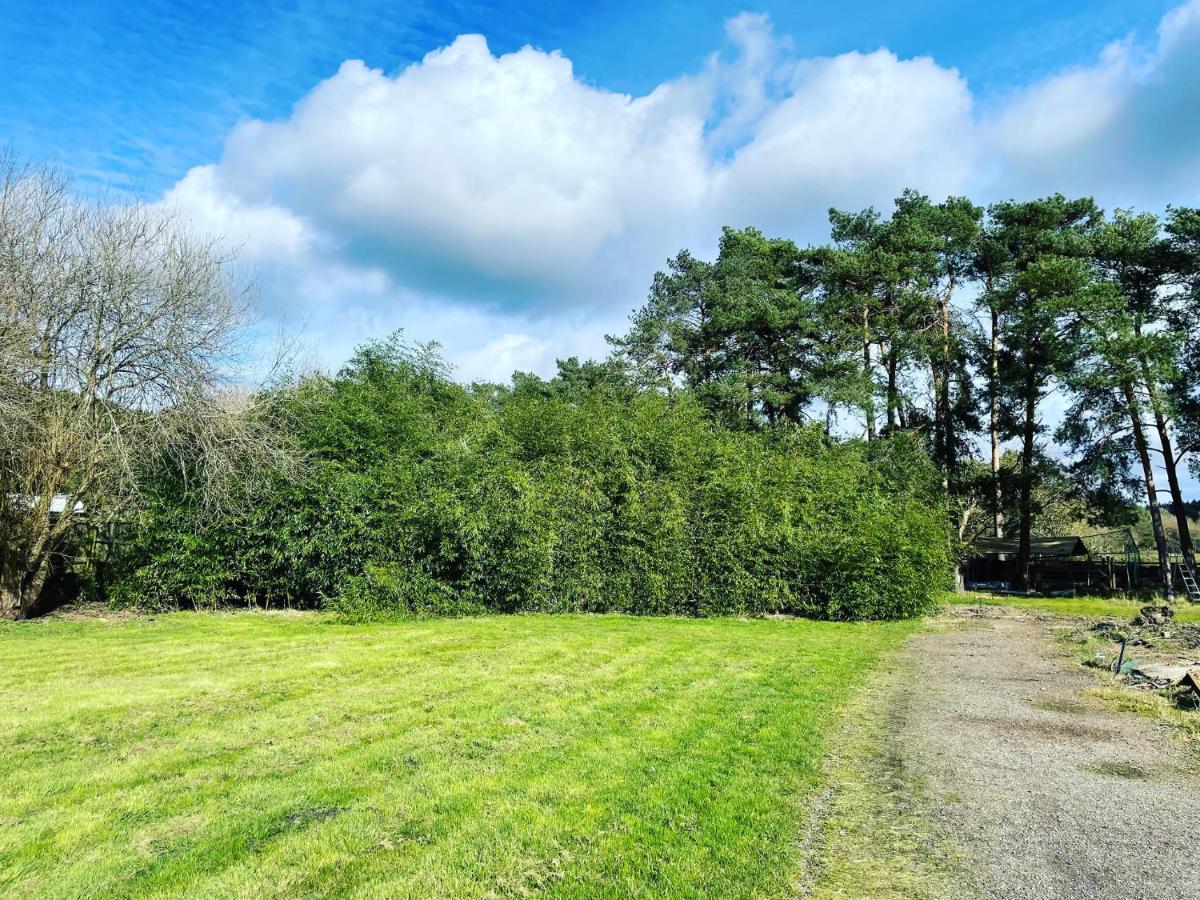 Saint Leonards The Bearded Goat Den - A Rural Retreat At This Modern Holiday Cottage מראה חיצוני תמונה