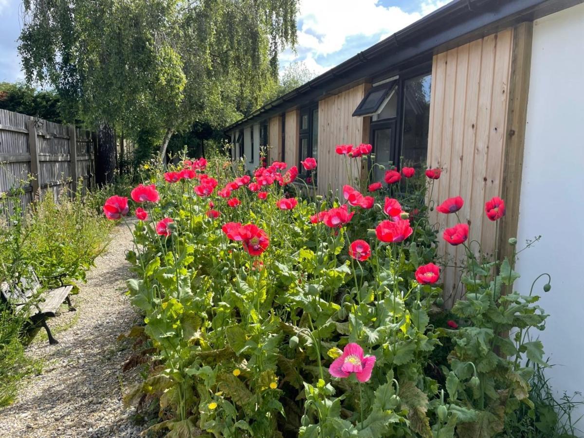 Saint Leonards The Bearded Goat Den - A Rural Retreat At This Modern Holiday Cottage מראה חיצוני תמונה